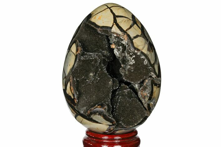 Septarian Dragon Egg Geode - Black Crystals #120941